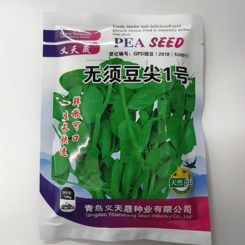 无须豌豆苗种籽清香脆甜白花无须豌豆尖种子抗病丰产采收期长