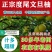 产地直发度尾红心文旦柚