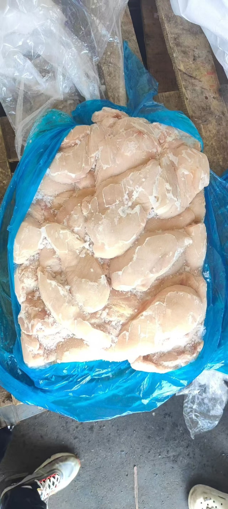 种鸡大胸