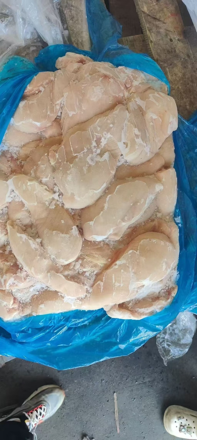 种鸡大胸