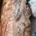 生牛副筋