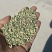 甘肃玉门瓜州小茴香