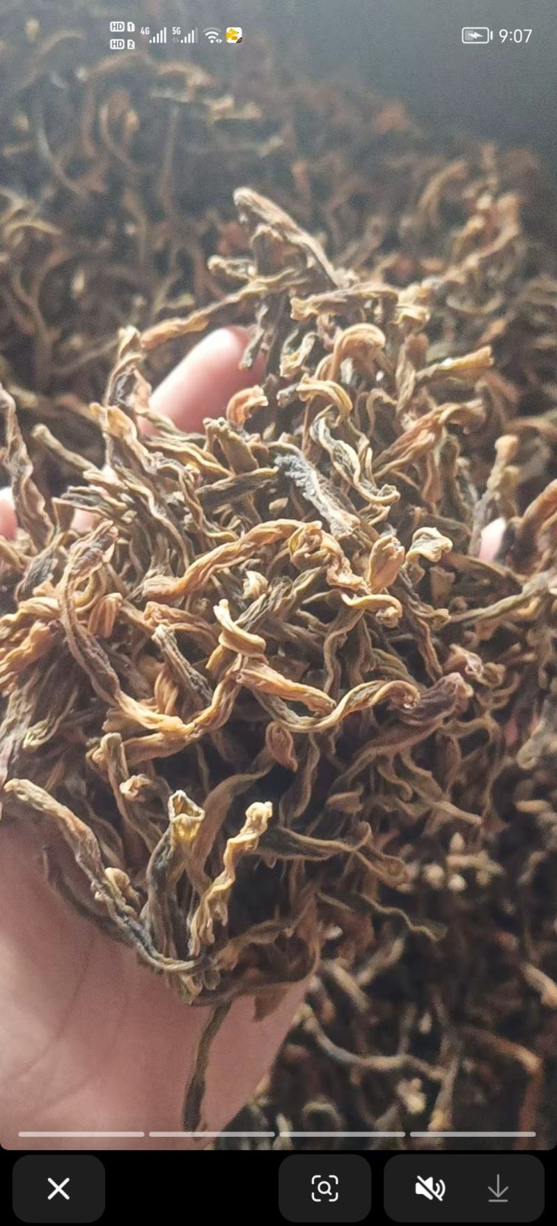 干豆角