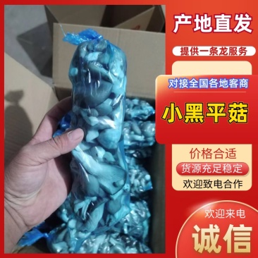 小黑平菇产地直发，价格合适，货源充足