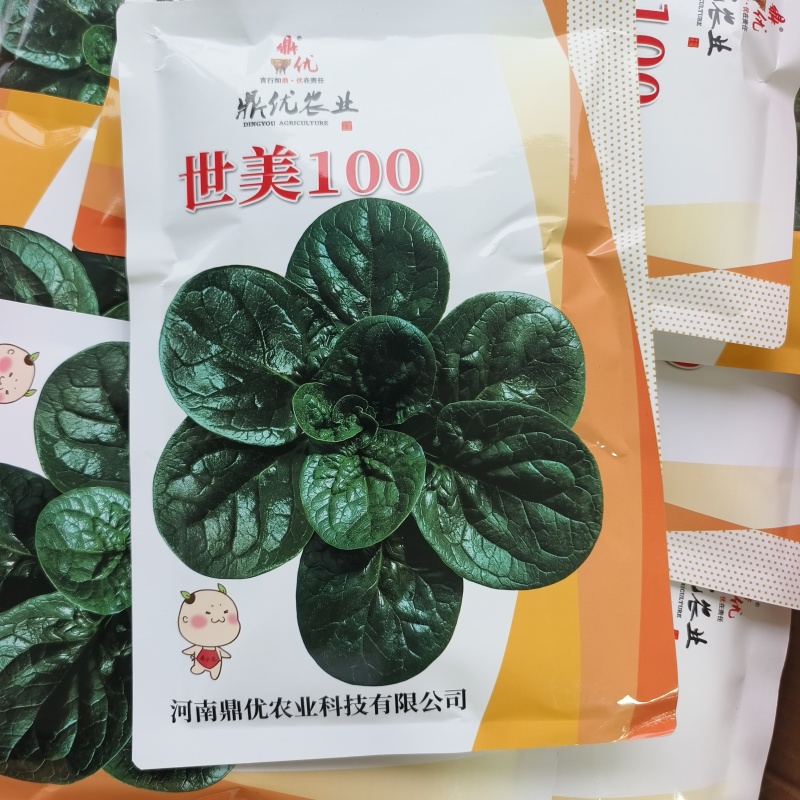 世美菠菜种子耐热寒浓绿圆叶趴地菠菜种籽厚叶菠菜基地蔬菜种