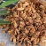 中药铺玳玳花玳玳花茶代代花橙花花茶