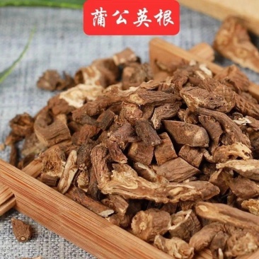 蒲公英根婆婆丁根茶蒲公英根茶长白山包邮