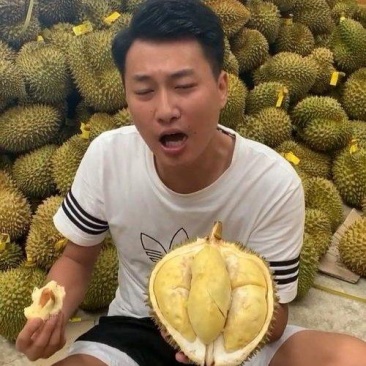 金枕榴莲产地直销，坏果包赔