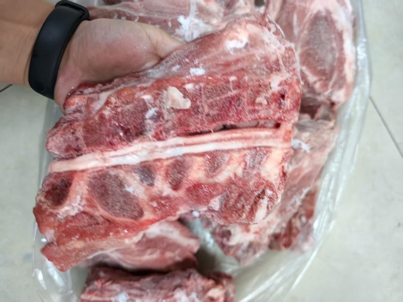 青猪多肉胫骨20斤