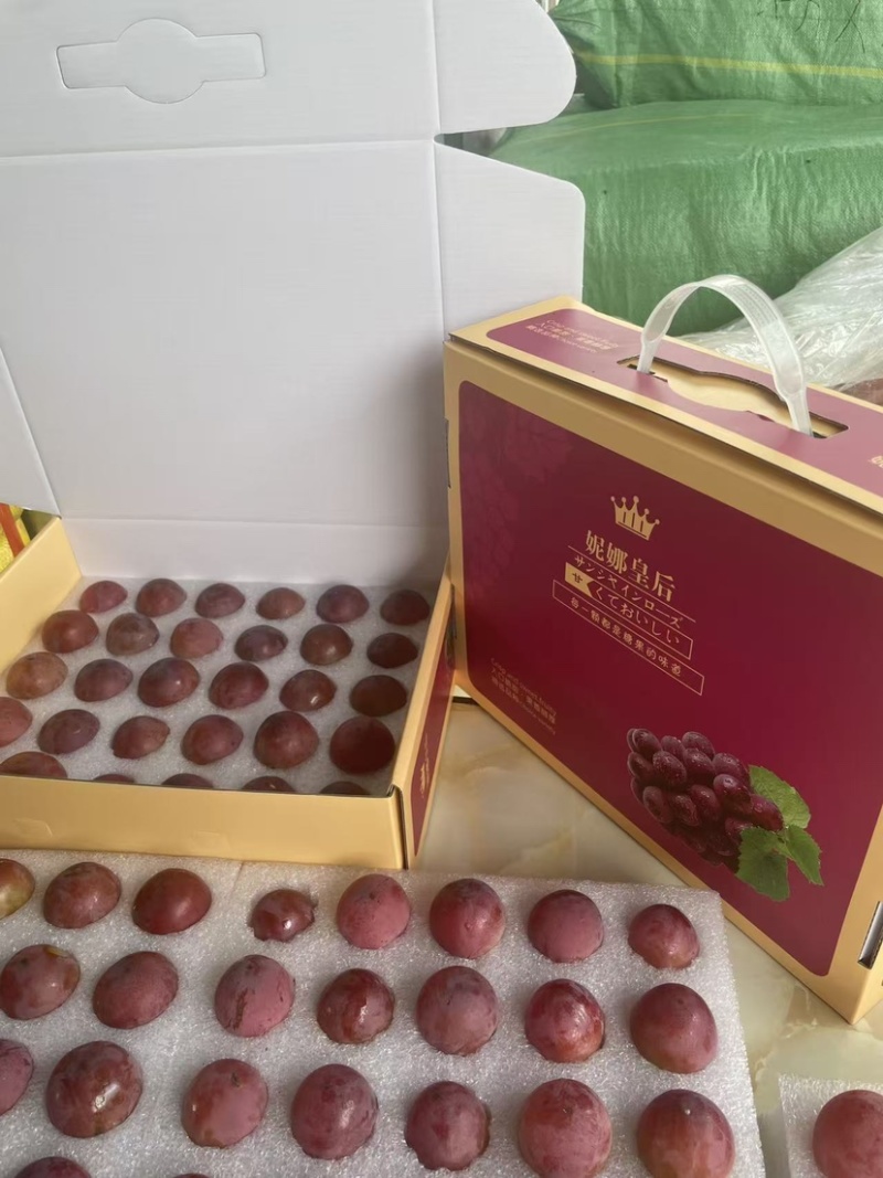 妮娜皇后大果粒