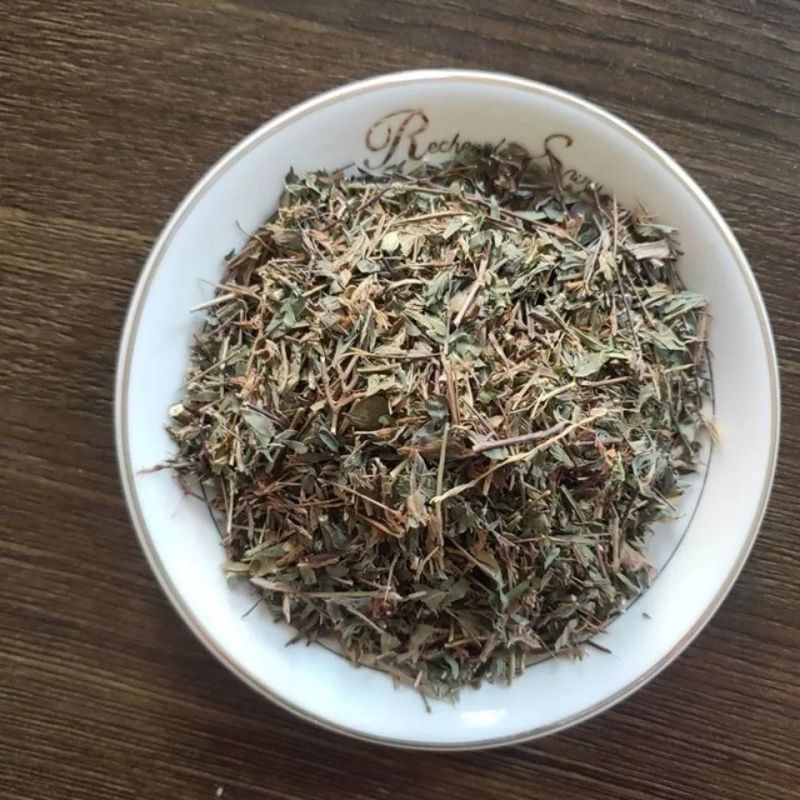 鸡眼草中药材三叶人字草掐不齐老鸦须铺地锦包邮