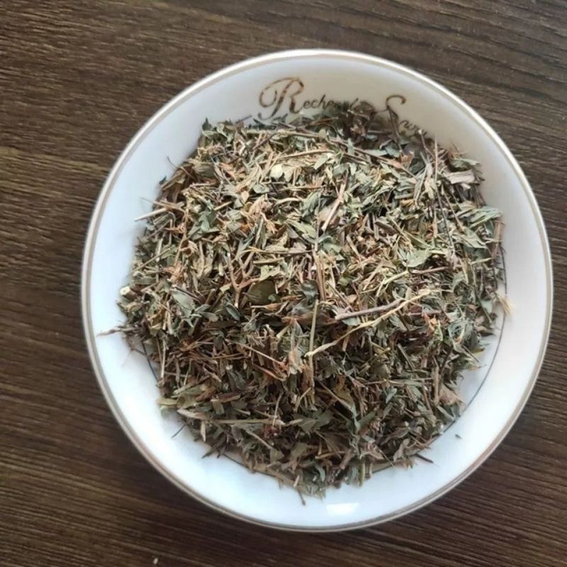鸡眼草中药材三叶人字草掐不齐老鸦须铺地锦包邮