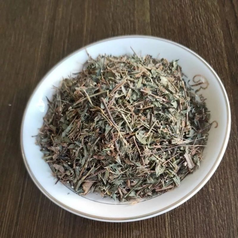 鸡眼草中药材三叶人字草掐不齐老鸦须铺地锦包邮