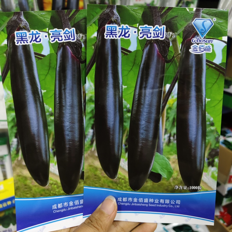 黑龙亮剑茄子种子杂交大龙茄子高产亮丽油黑长茄子种子肉绿
