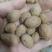 中药铺榧子中药材店铺新货香榧玉山果赤果玉榧木榧