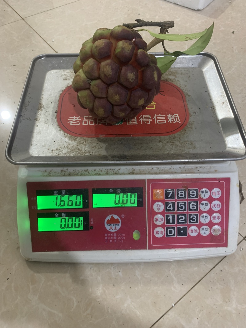 黑老虎果