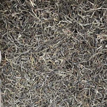 源头厂家，场地直销，150年古树普洱茶