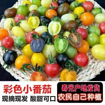 寻找全国各地货主寿光多色精品圣女果