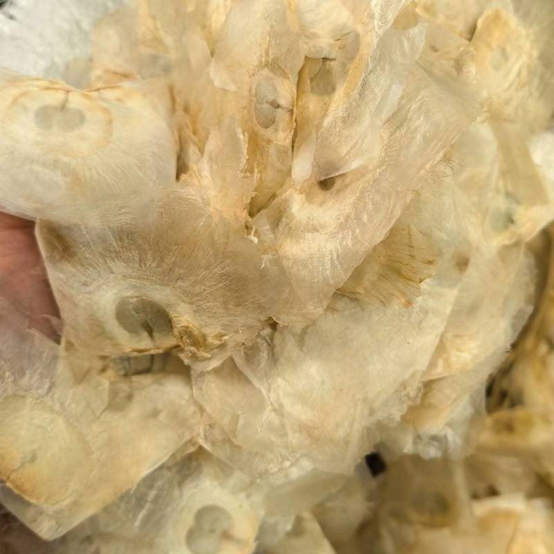 木蝴蝶玉蝴蝶千张纸大货供应电商供应大货对接一手货源