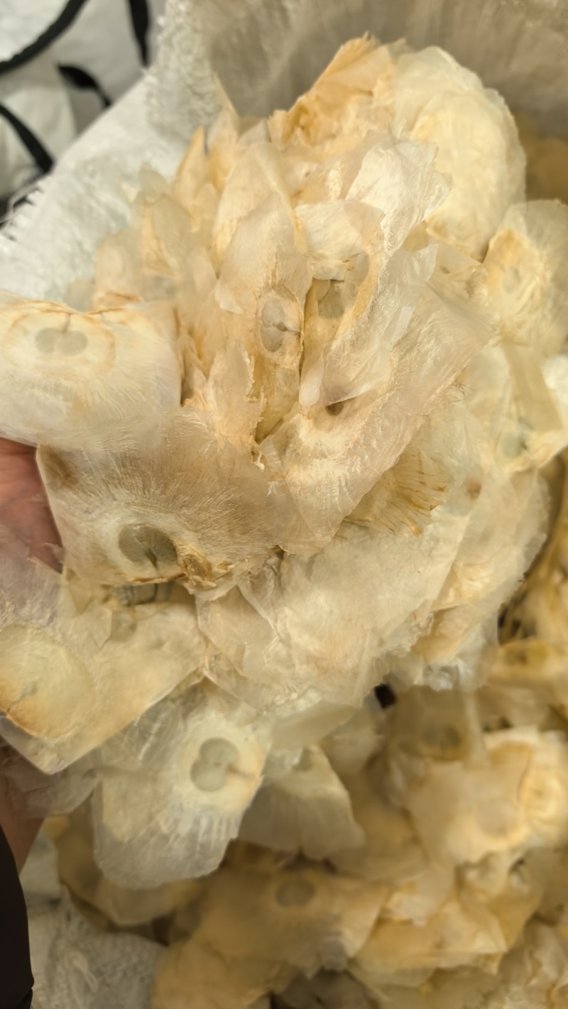 木蝴蝶玉蝴蝶千张纸大货供应电商供应大货对接一手货源