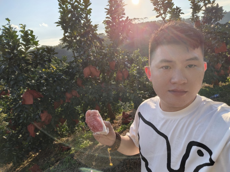 梅州柚，量大可以谈！