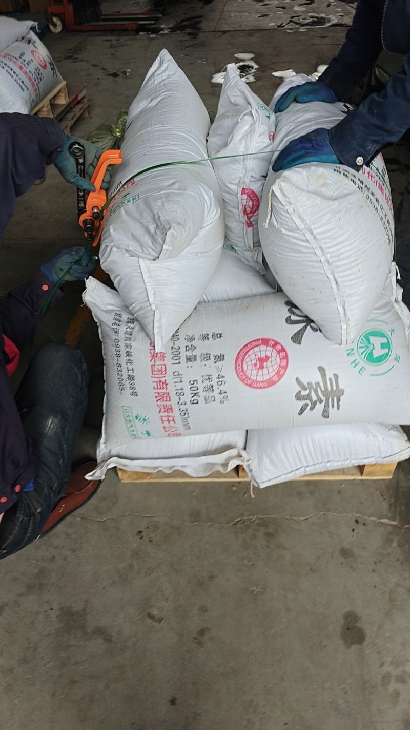 红根直条北柴胡种子！甘肃产地直发，可视频看货，新货产量高