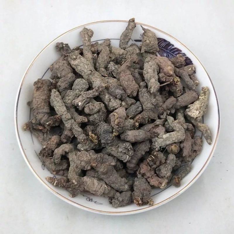 中药材天葵子千年老鼠屎山耗子屎紫背天葵子草药根新鲜