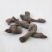中药材天葵子千年老鼠屎山耗子屎紫背天葵子草药根新鲜