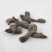 中药材天葵子千年老鼠屎山耗子屎紫背天葵子草药根新鲜