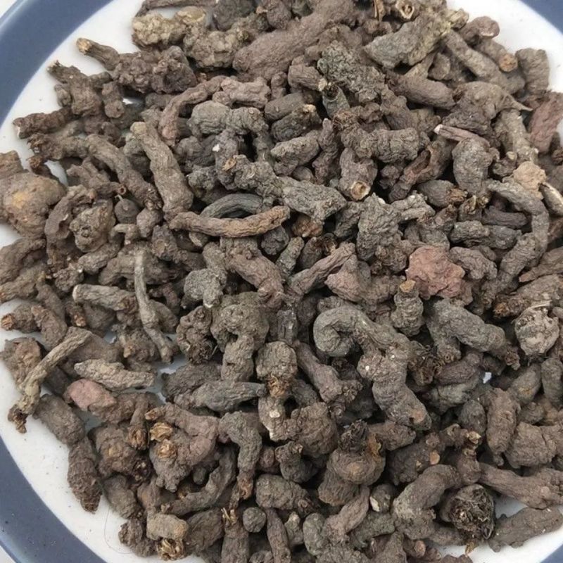 中药材天葵子千年老鼠屎山耗子屎紫背天葵子草药根新鲜
