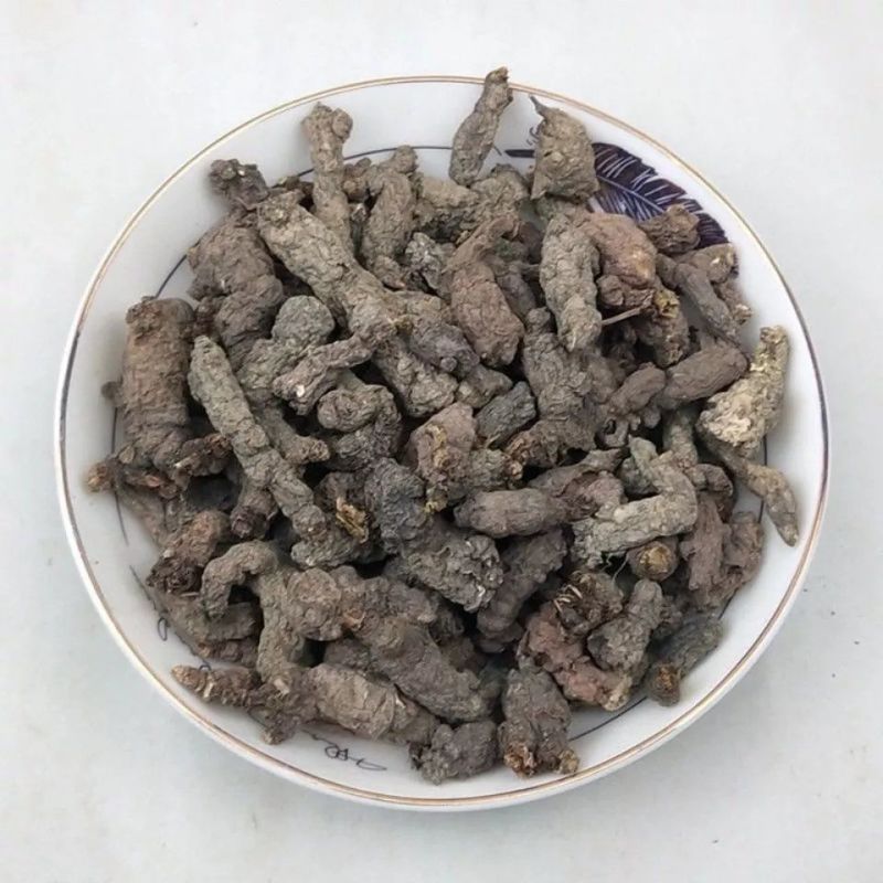 中药材天葵子千年老鼠屎山耗子屎紫背天葵子草药根新鲜
