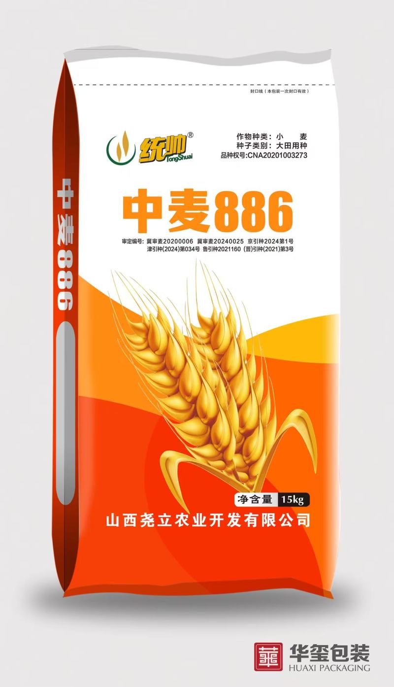 小麦种子中麦886供应商直供品质高规格齐全对接批发采购
