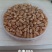 小麦种子中麦886供应商直供品质高规格齐全对接批发采购