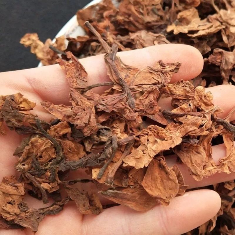 中药材鸡蛋花天然蛋黄花擂捶花大季花缅栀子番缅包