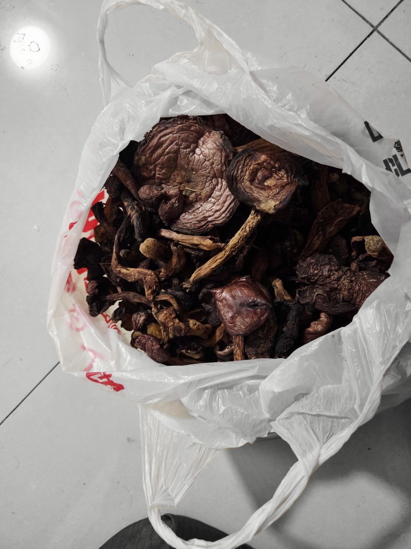 当年东北纯野生松蘑、（黄蘑）、红蘑、（肉蘑）干货散装现货