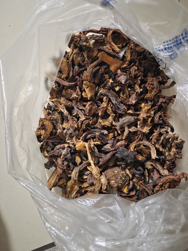 当年东北纯野生松蘑、（黄蘑）、红蘑、（肉蘑）干货散装现货