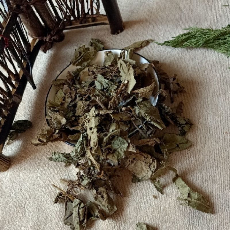 紫竹叶中药材正品无杂质紫珠草紫珠叶紫竹叶大叶紫珠包