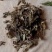 紫竹叶中药材正品无杂质紫珠草紫珠叶紫竹叶大叶紫珠包