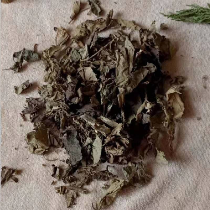 紫竹叶中药材正品无杂质紫珠草紫珠叶紫竹叶大叶紫珠包
