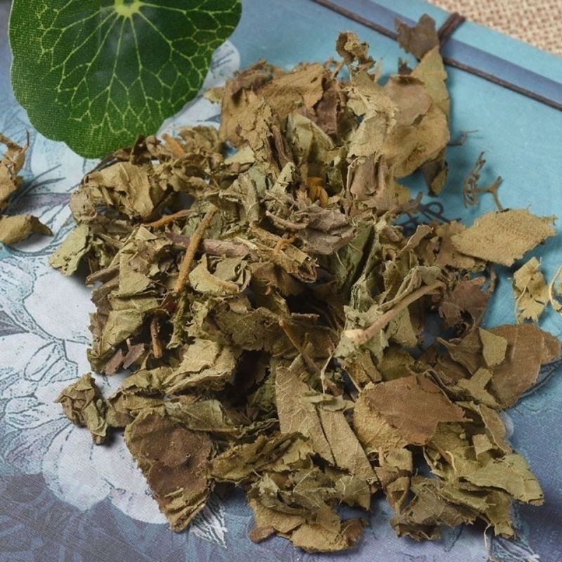 紫竹叶中药材正品无杂质紫珠草紫珠叶紫竹叶大叶紫珠包