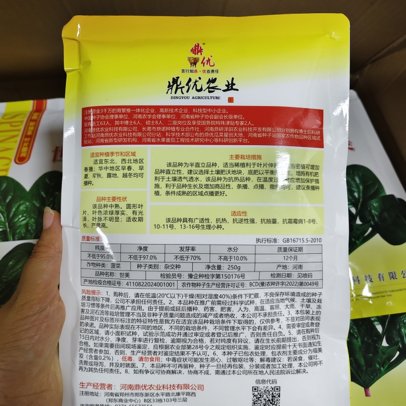 世美趴地菠菜种子抗热菠菜叶片肥厚油亮菠菜种籽产量高