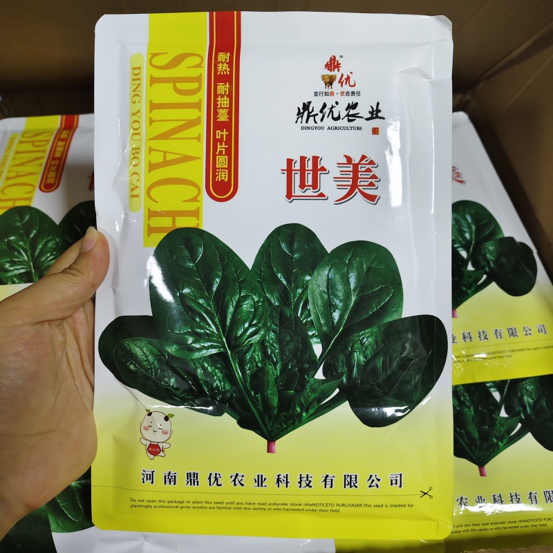 世美趴地菠菜种子抗热菠菜叶片肥厚油亮菠菜种籽产量高