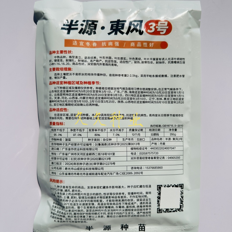 半源东风3号丹麦进口杂交菠菜种子株型直立叶色黑绿易捆扎