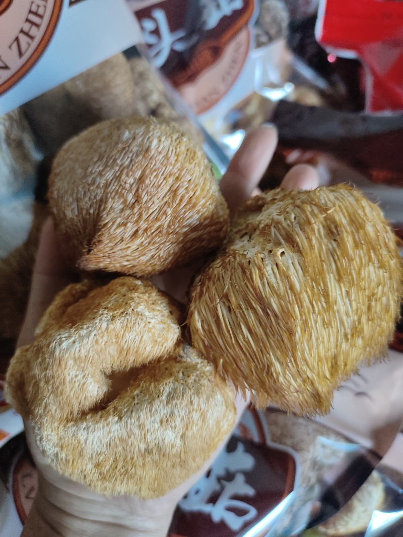 野生猴头菇
