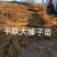 大榛子树苗，平欧系列