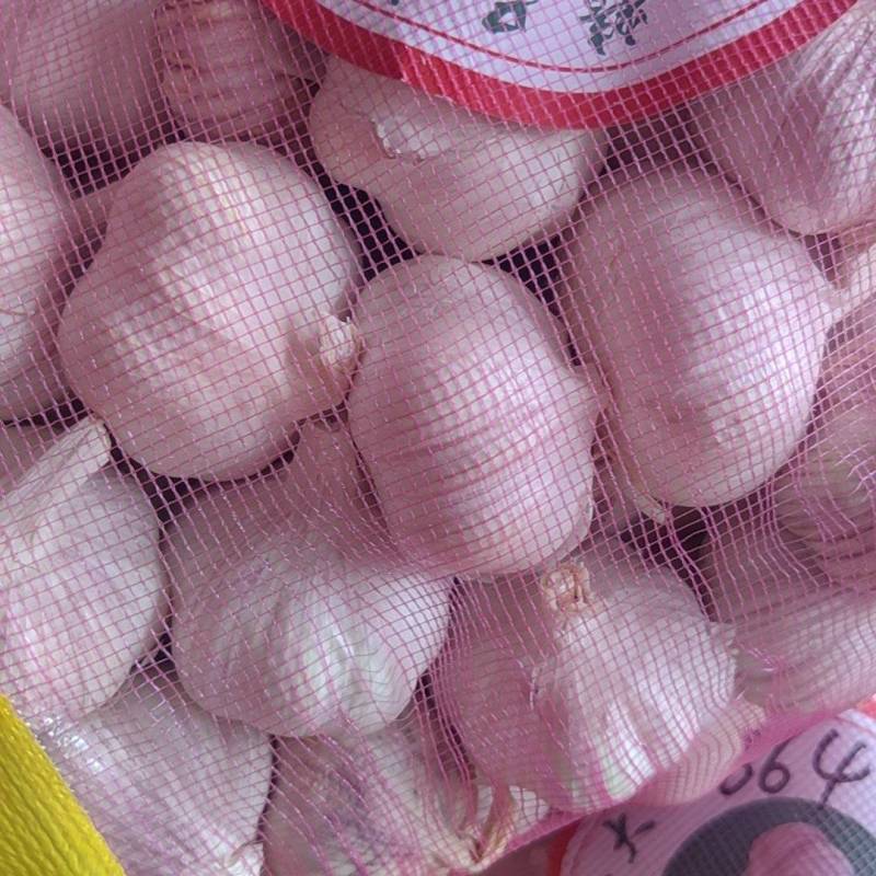 大蒜大量有货