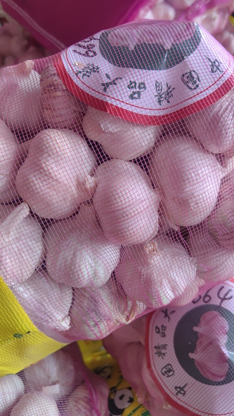 大蒜大量有货