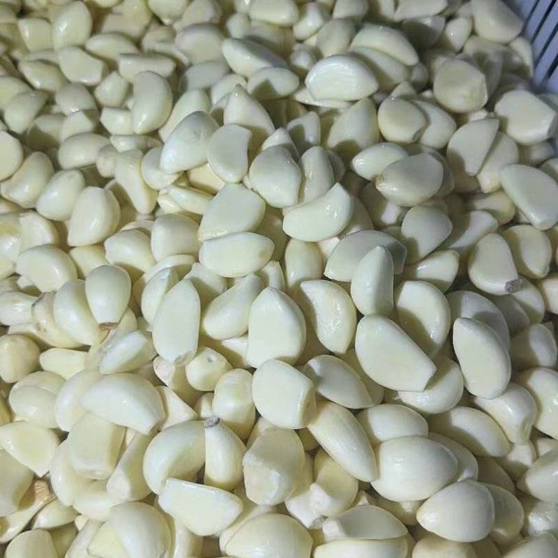 大量供应蒜米，随时有货