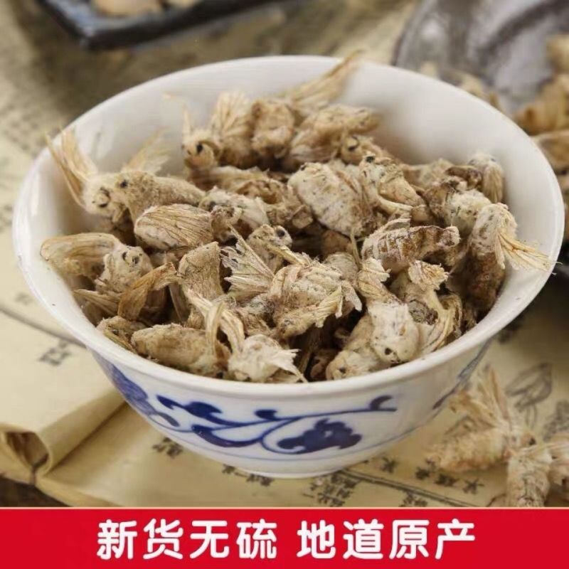 正品雄蚕蛾中药雄蚕蛾新货雄蚕蛾免费打雄蚕蛾粉