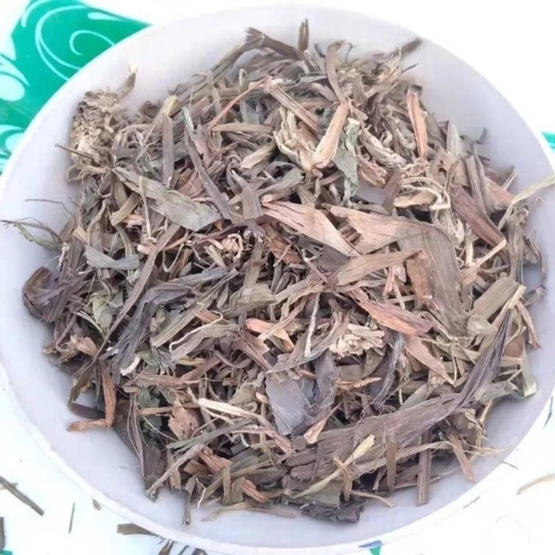 吉祥草中药材批发保质保量大货批发供应大货